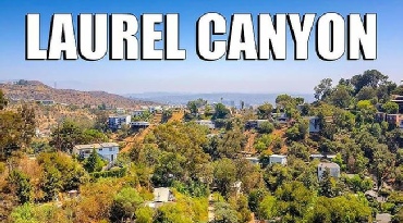 Laurel Canyon Project Bio